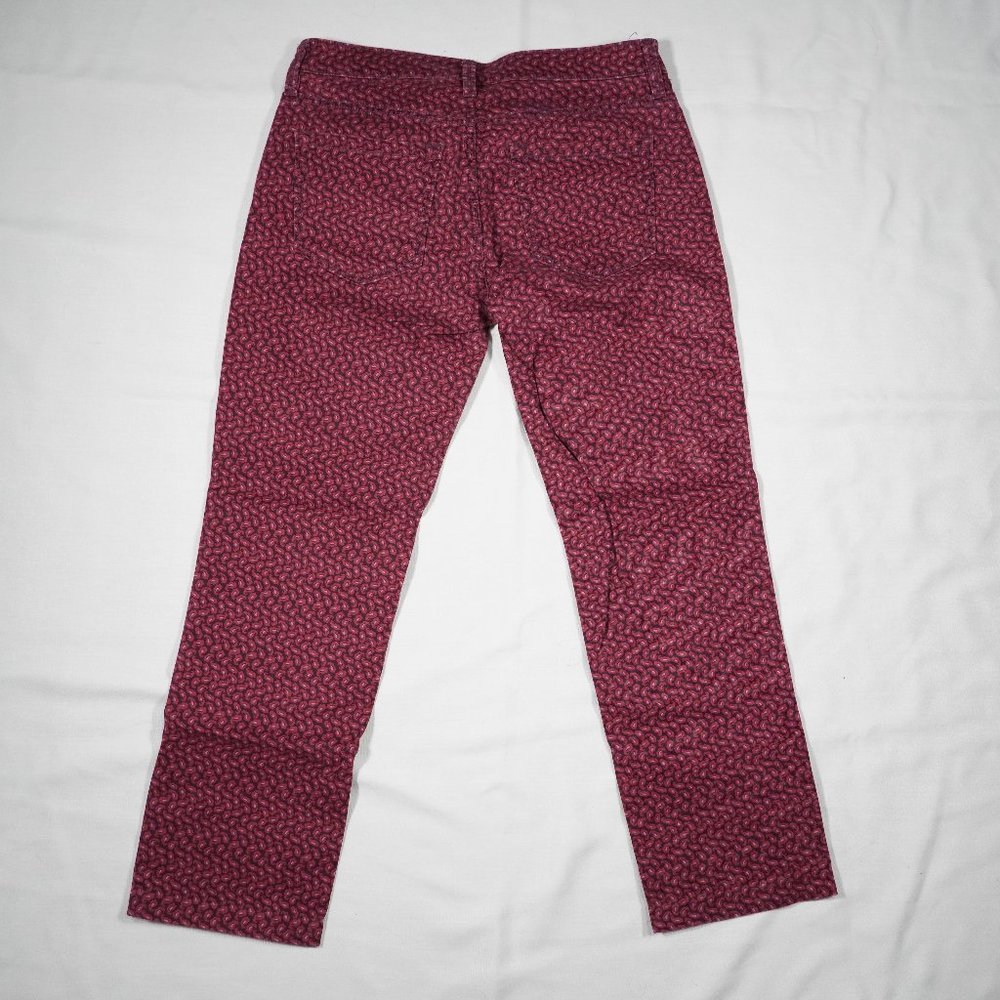 Ann Taylor Loft Paisley Modern Straight 5 Pocket